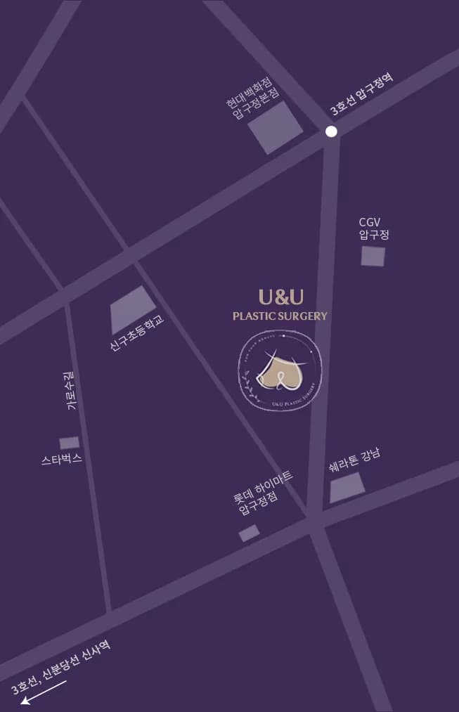 U&U整形外科医院位置地图 — 首尔江南区论岘路819号明光大厦