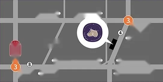 U&U整形外科路线图 — 3号线狎鸥亭站与新盆唐线新沙站之间、林荫道附近