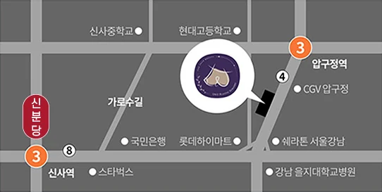 U&U整形外科路线简图 — 狎鸥亭站·新沙站附近的新沙洞林荫路