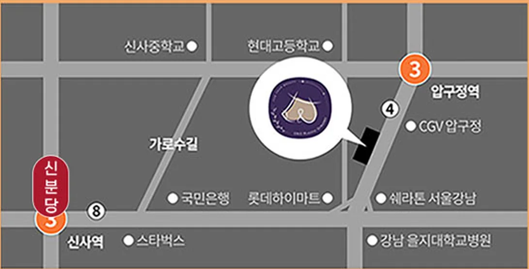 U&U整形外科路线图 — 3号线狎鸥亭站与新盆唐线新沙站之间、林荫道附近