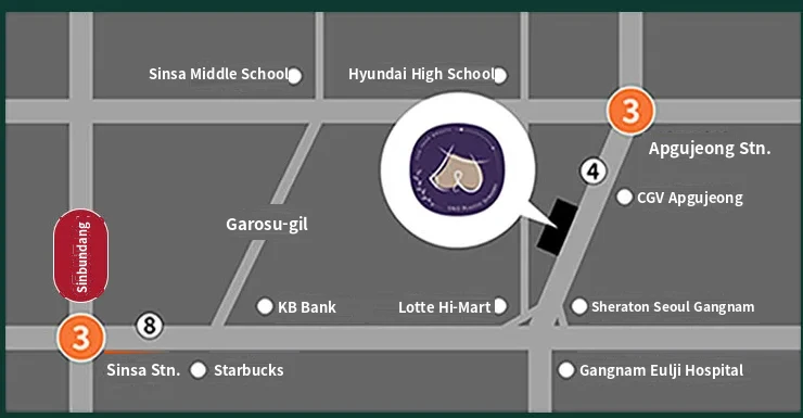 U&U整形外科路线简图 — 狎鸥亭站4号出口步行5分钟,新沙洞林荫路附近