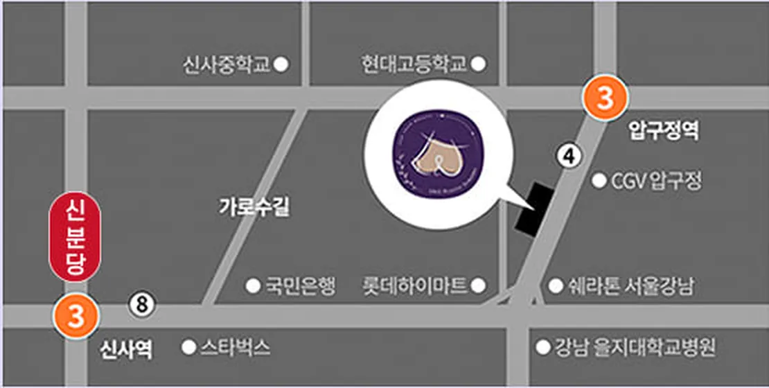 U&U整形外科路线图 — 狎鸥亭站·新沙站附近的林荫道